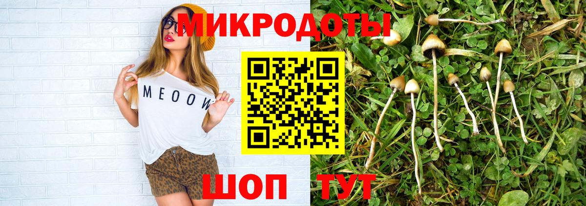 Галлюциногенные грибы прущие грибы  Вход с VPN  Лесозаводск 